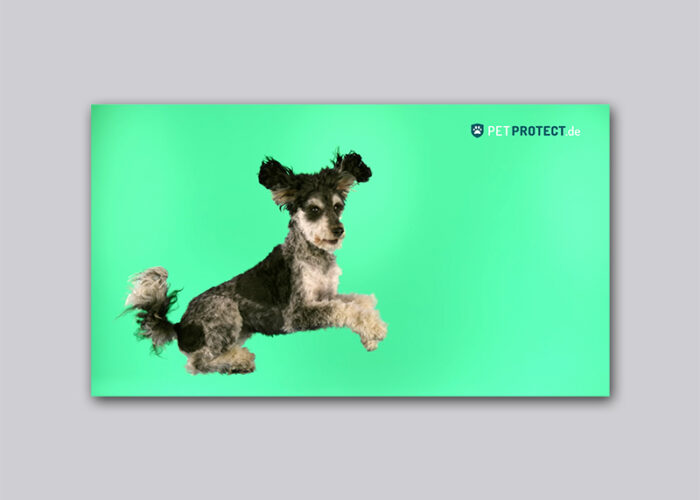 Petprotect – 1 Sekunde