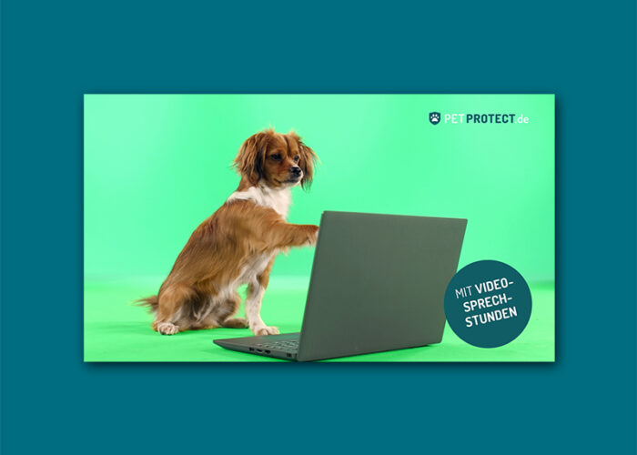 Petprotect – Abschütteln