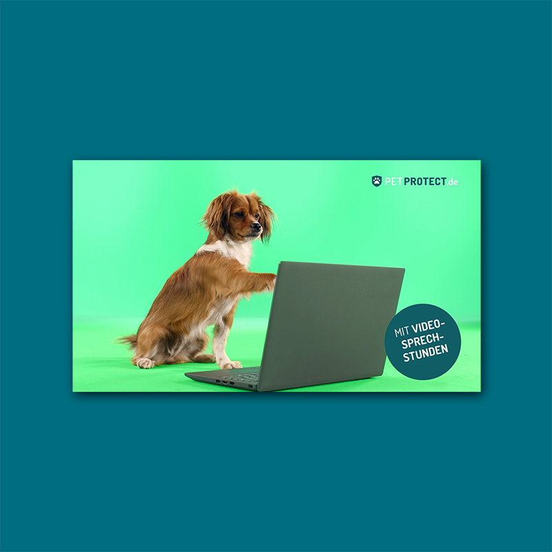 Petprotect – Abschütteln
