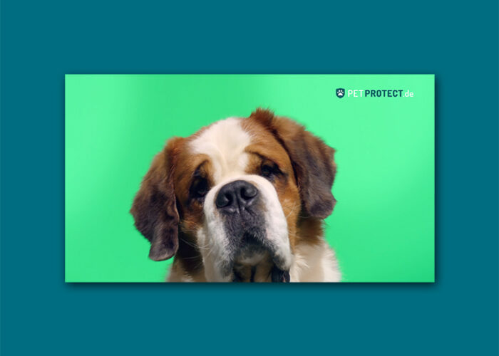 Petprotect – Big&Small