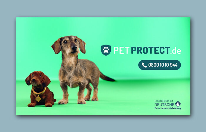 Petprotect – Wackeldackel