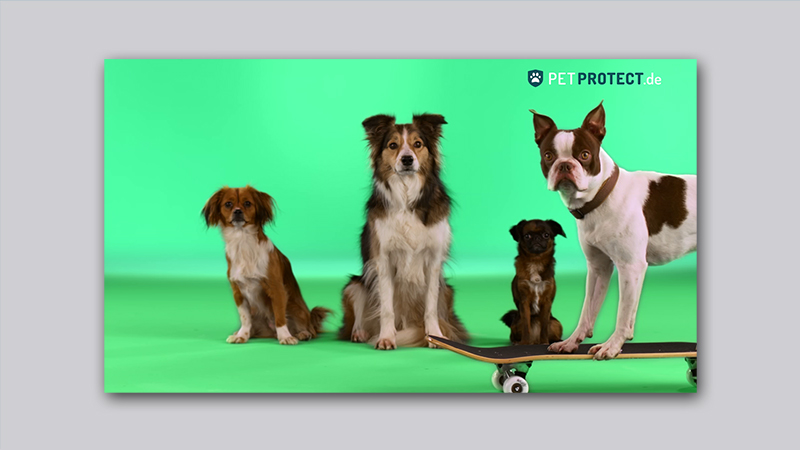 Petprotect Mugshots